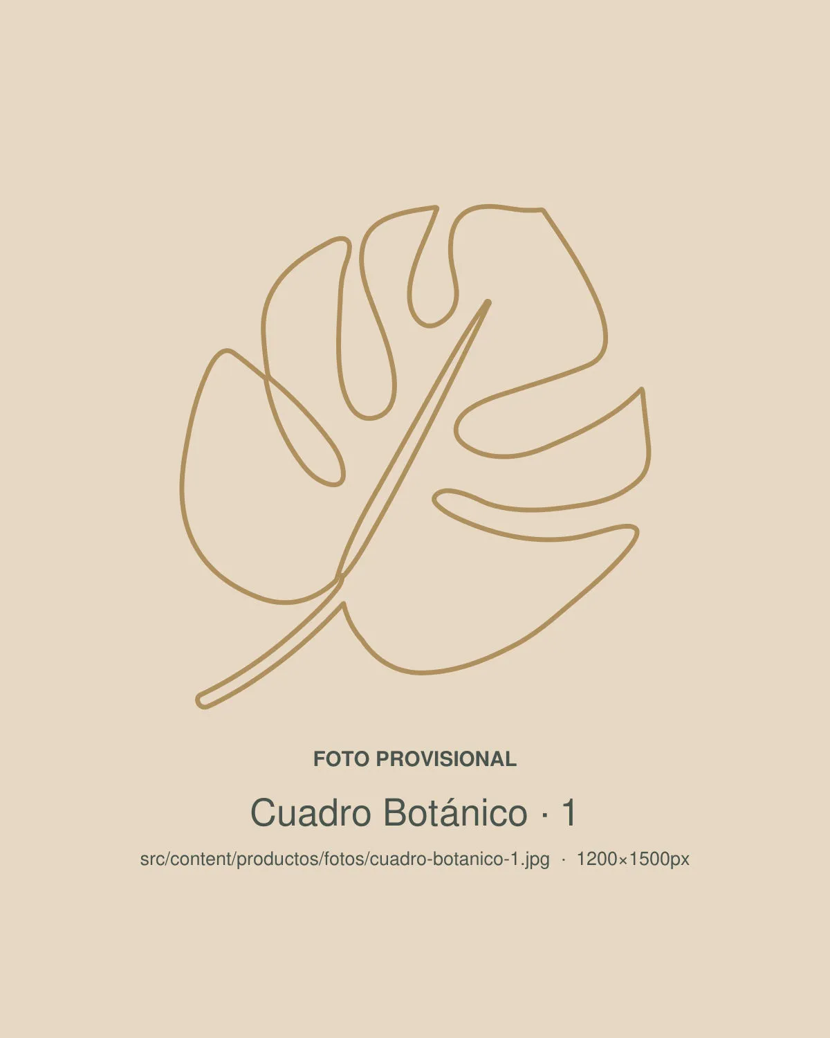 Cuadro Botánico